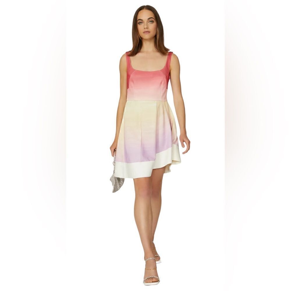 Esteban Cortazar Ombre Flamenco Dress Size 14